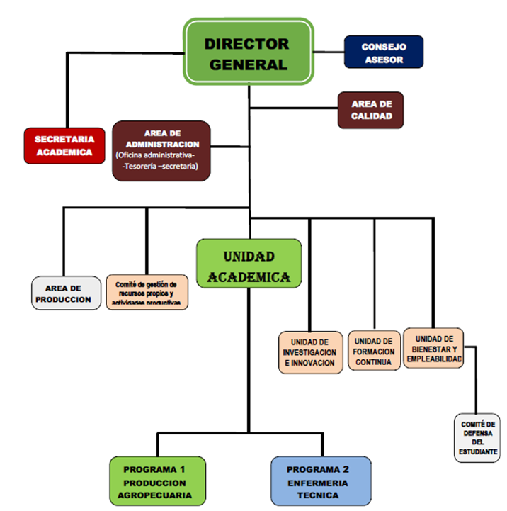 Organigrama institucional de IESTP Vicus